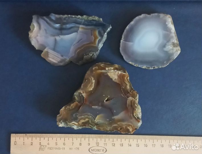 Камни и минералы.окаменелости