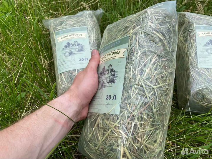 Сено в брикетах оптом