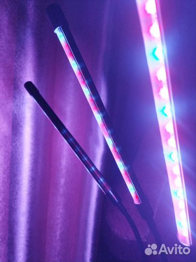 Фитолампа для растений