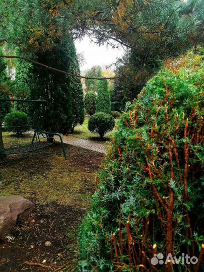 Садовник, профи