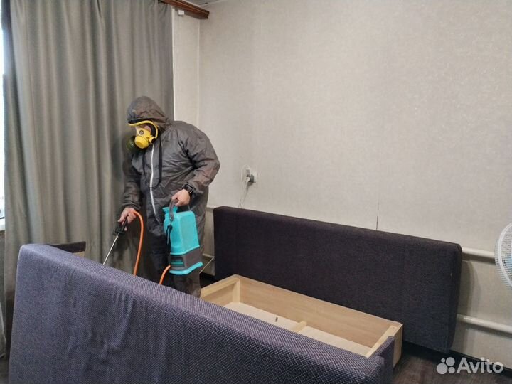 Уничтожение тараканов клопов Дезинфекция Травля