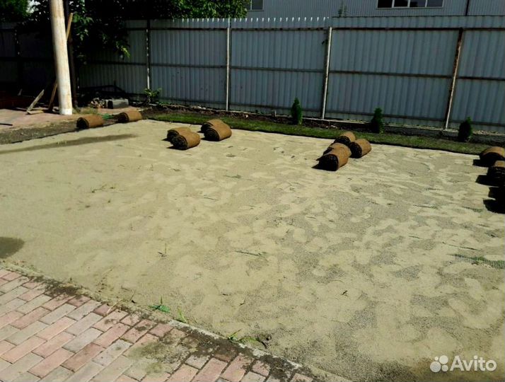 Рулонный газон 