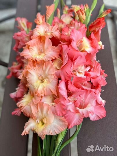 Цветы букет гладиолусы юбилей