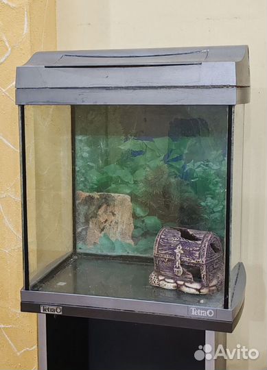 Аквариум с тумбой Tetra 30 л бу