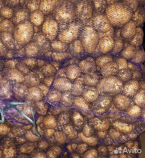 Доставка овощей