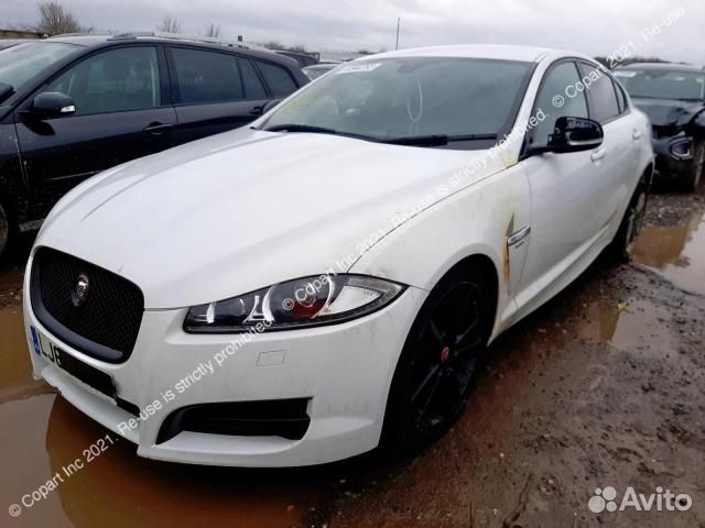 Jaguar XF 2014 белый перламутр