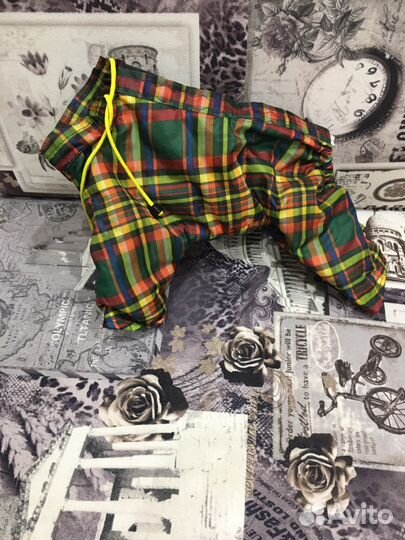 Одежда для тойтерьера