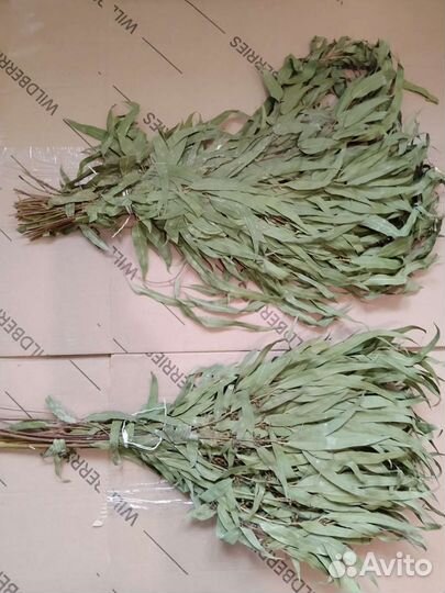 Веники для бани эвкалипт