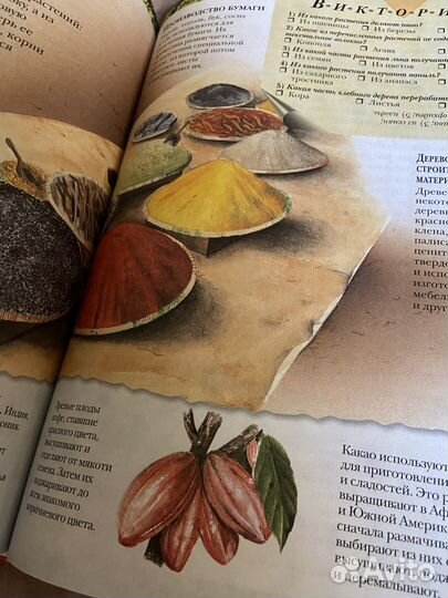 Большая книга «Почему» (энциклопедия)