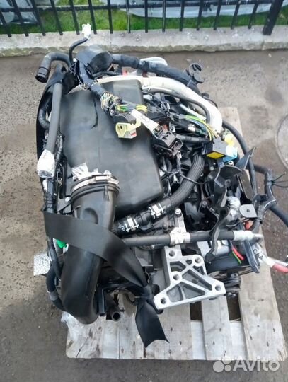 Двигатель Land Rover Freelander Evoque 2.2 D 224DT