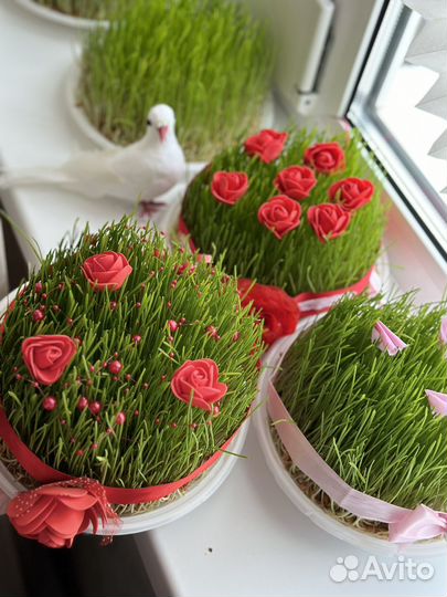 Семени на Новруза