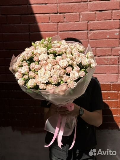 Кустовые розы пионовидные 51шт 101штук