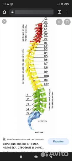 Массажистка