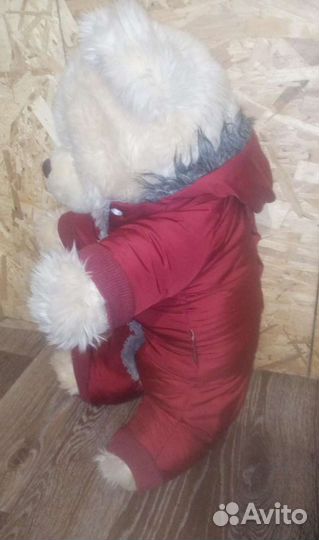 Зимний и демисезонный комбинезоны, дождевик для со