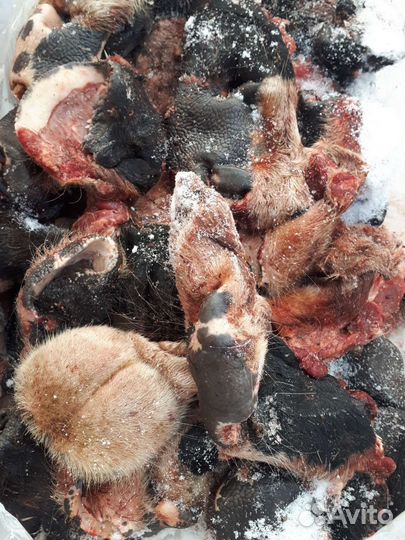 Мясо(корм) для собак и кошек