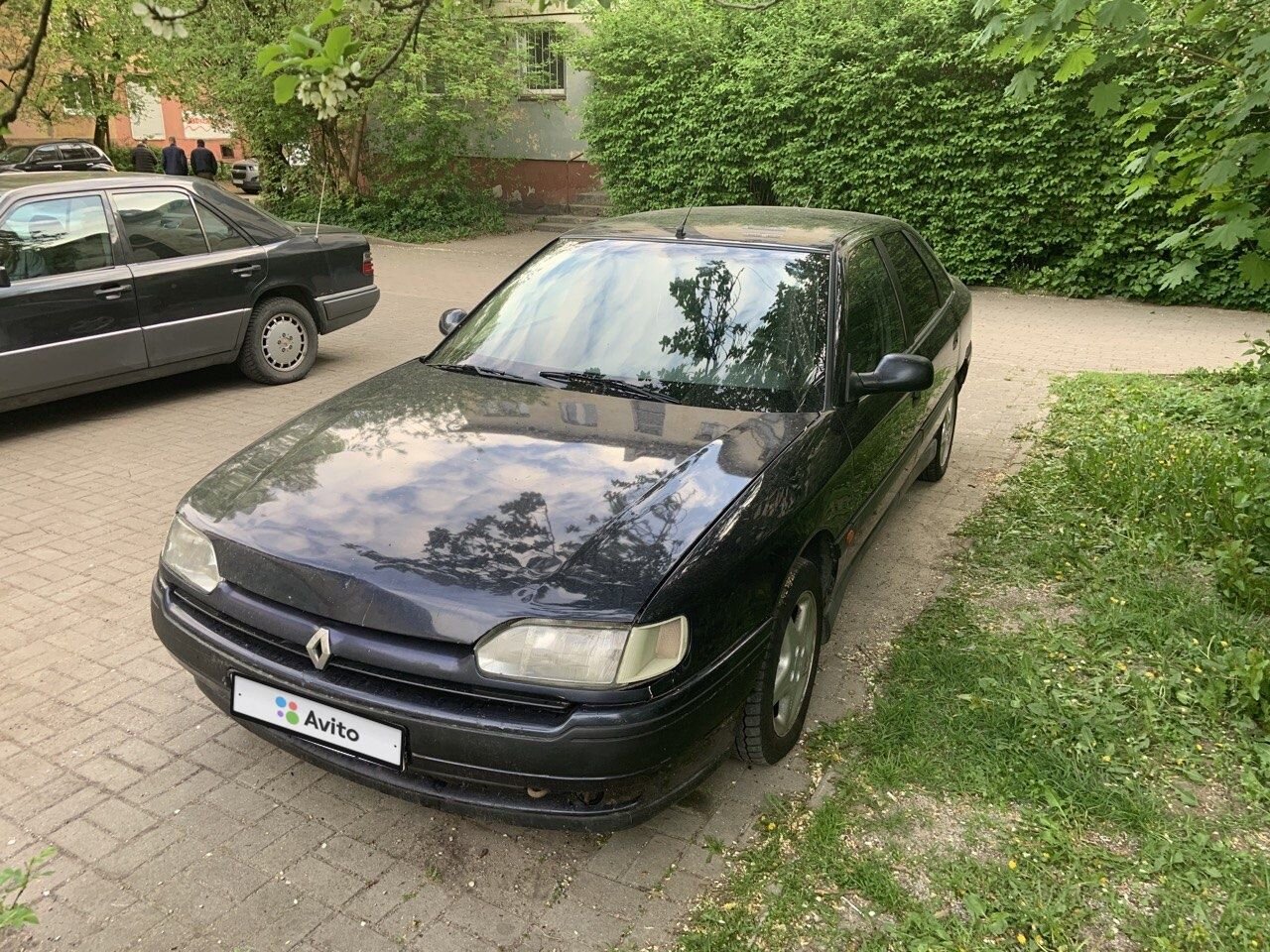Renault Safrane: фото из отзыва