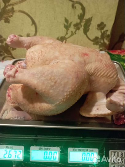 Мясо домашнего бройлера(10 месяцев)