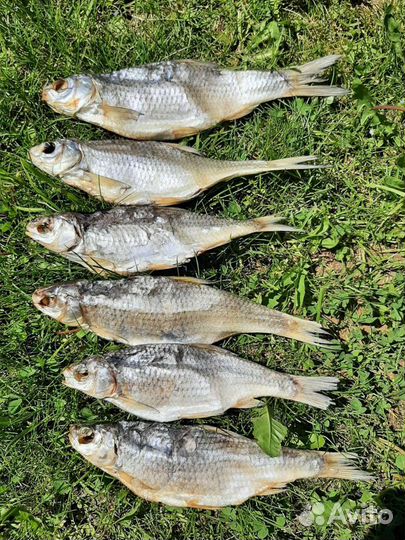 Лещ, вобла, икра и пр.вяленая рыба и х/к