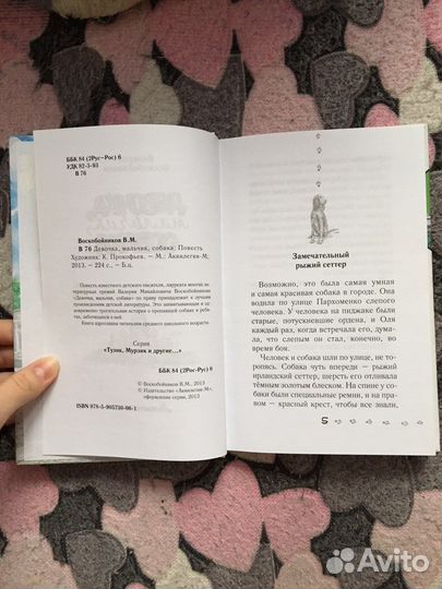 Книга «Девочка, мальчик, собака» В. Воскобойников