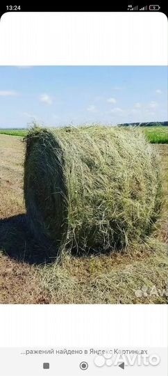 Продам сено в рулонах