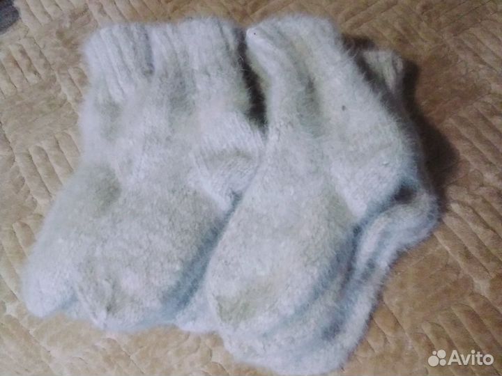 Собачьи носки