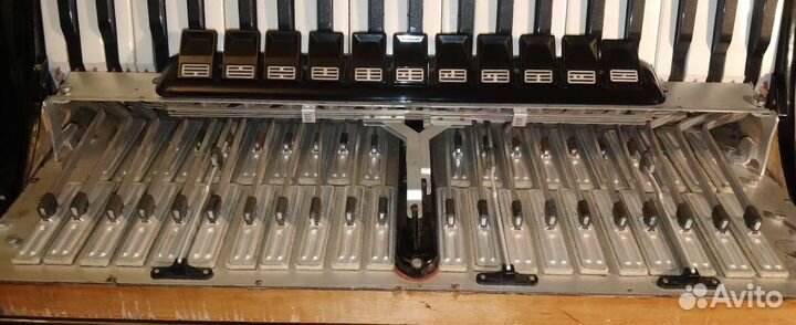 Аккордеон royal standard Montana