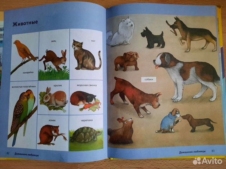 Книга детская Большая энциклопедия для малышей