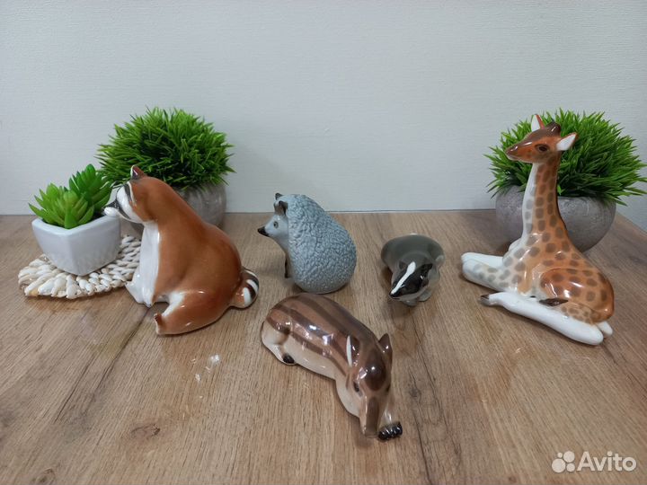 Анималистика (животные) лфз