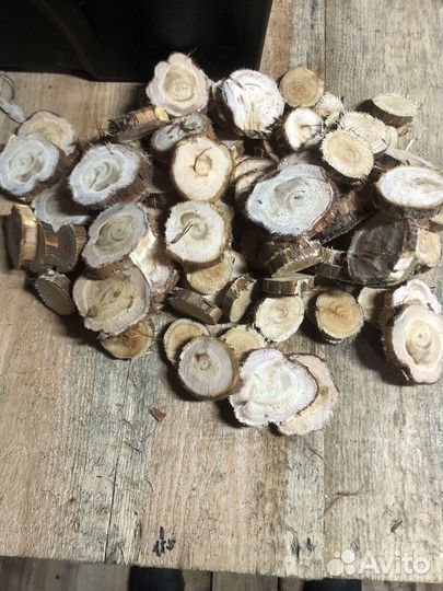 Спилы можжевельника