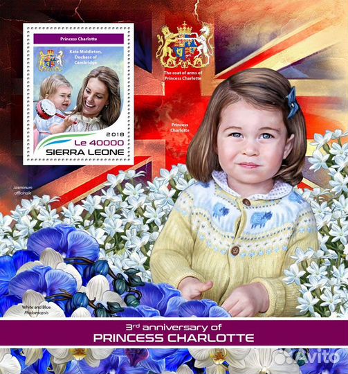 Принцесса Шарлотта (мл+блок)