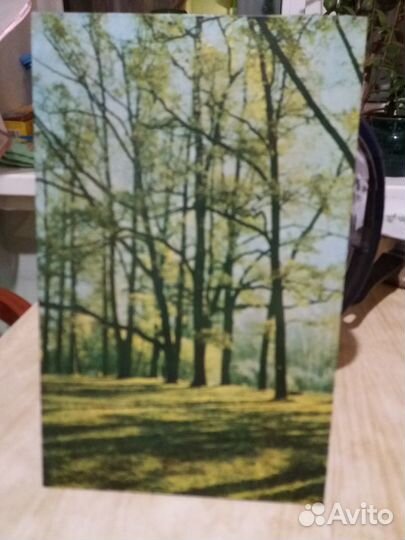 Фотография