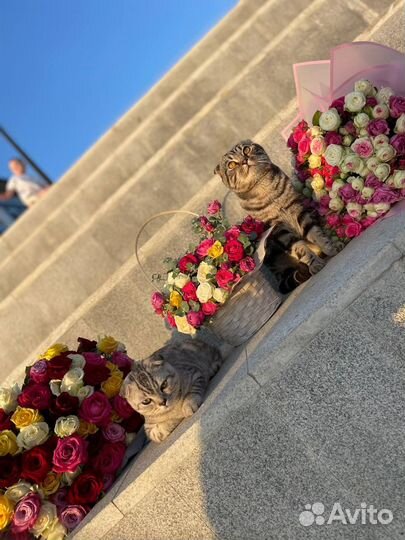 Цветы розы и букеты с доставкой