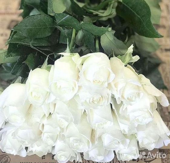 Розы Цветы Букеты 25 51 151 201 101 301 501 опт