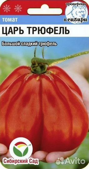 Рассада сортовых помидор и перцев, черри, крупные