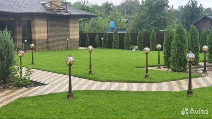 Красивый рулонный газон от профессионалов