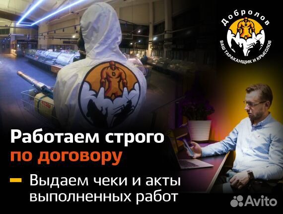 Уничтожение тараканов. Травить клопов