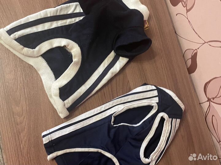 Майка для маленькой собаки