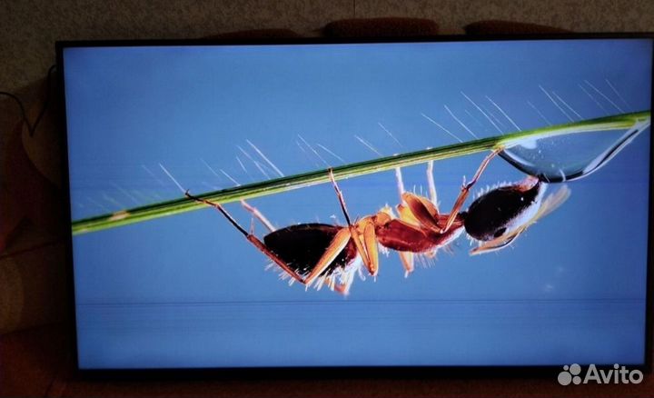 Телевизор JVC Android