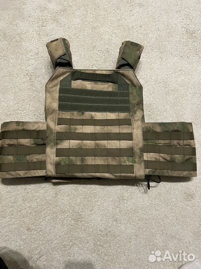 Плитник мох