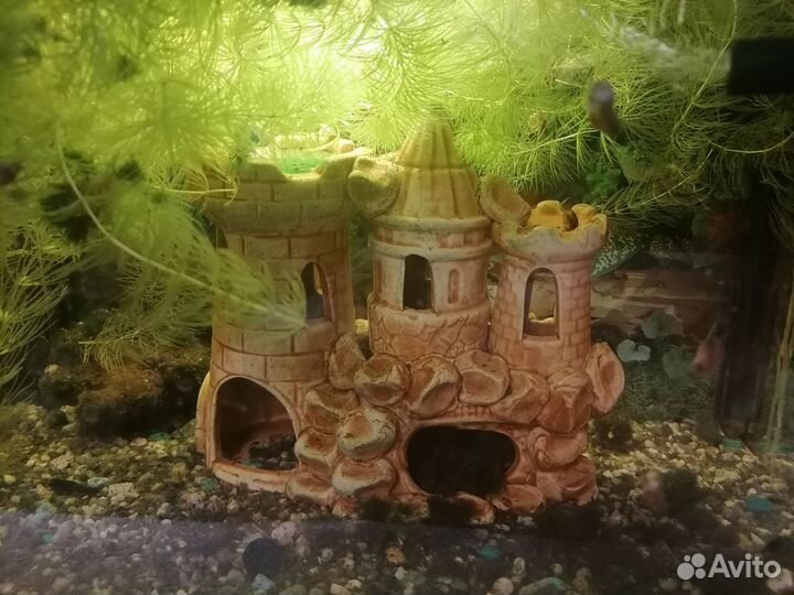 Аквариум 30л