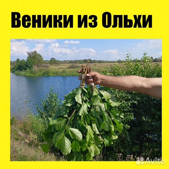 Веники для бани Ольха