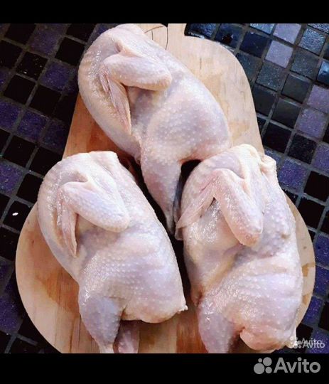 Мясо перепелов