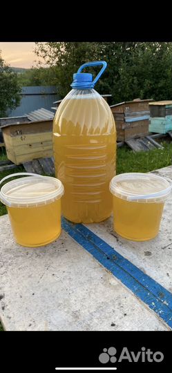 Липовый мед 2024г