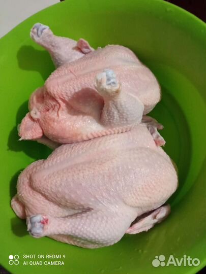 Круглый год Мясо кур бройлера домашнее