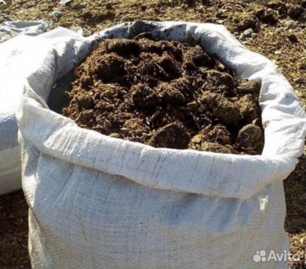 Навоз конский