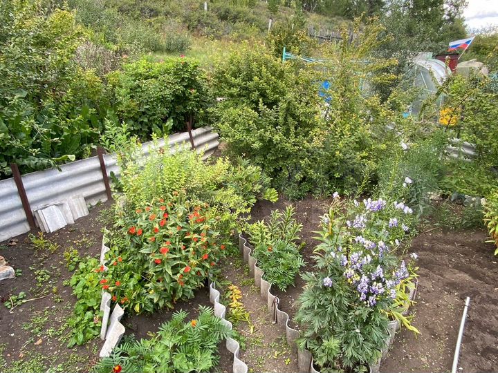 Дача 20 м² на участке 6 сот.