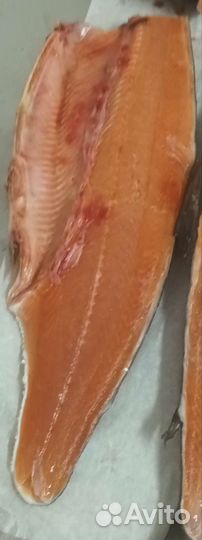 Кета патрашеная сг