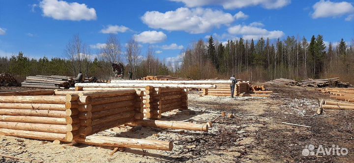 Срубы домов и бань