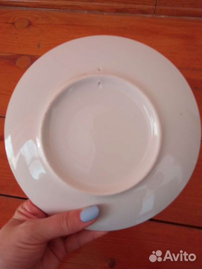 Тарелка собака колли шотландская овчарка