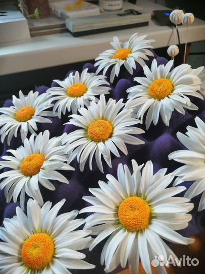 Ромашки из полимерной глины